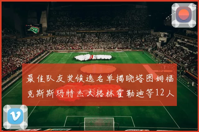 最佳队友奖候选名单揭晓塔图姆福克斯斯玛特杰夫格林霍勒迪等12人争夺荣耀